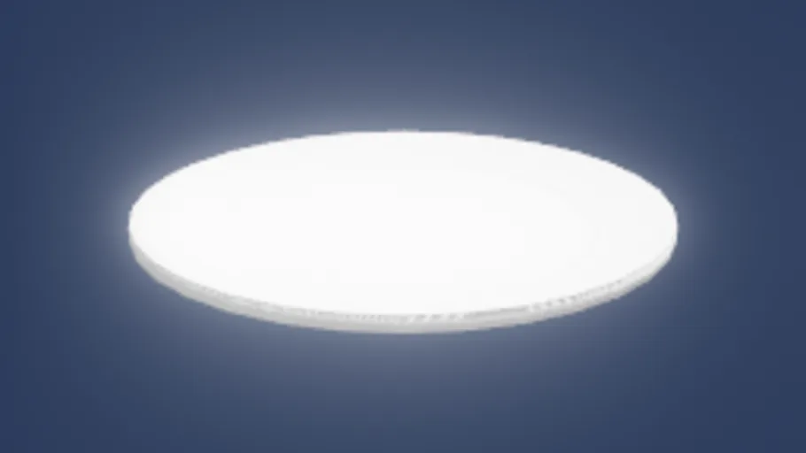 Plate