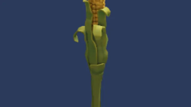 Corn