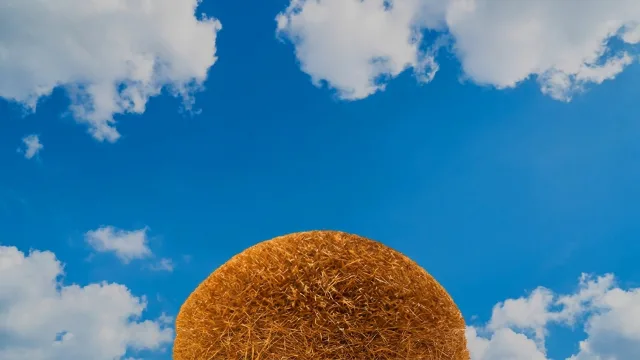 Needle In A Haystack
