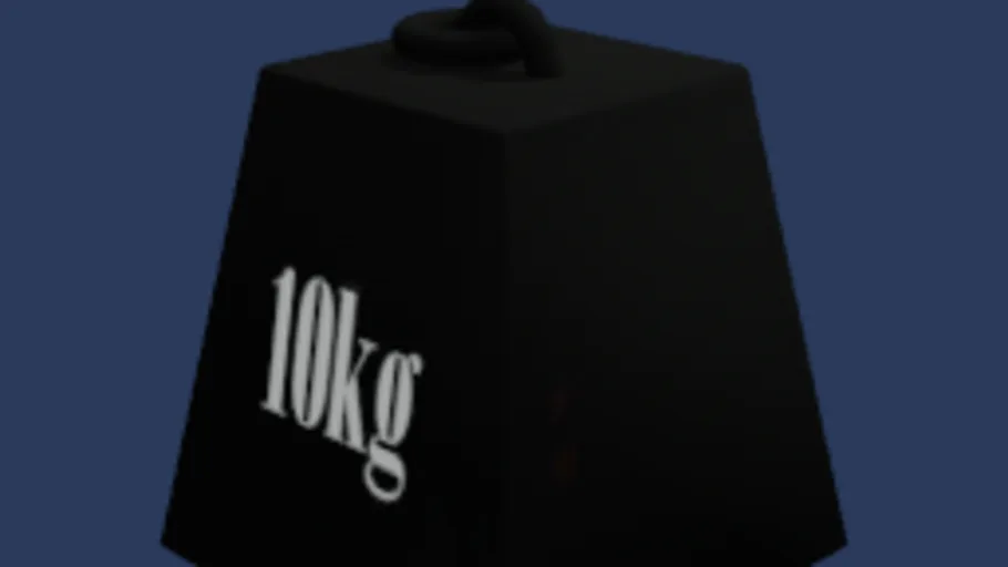 10kg mass