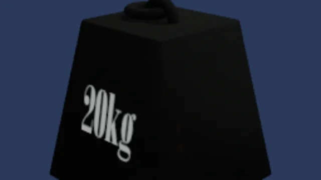 20kg mass
