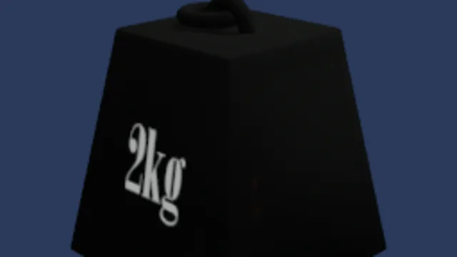 2kg mass