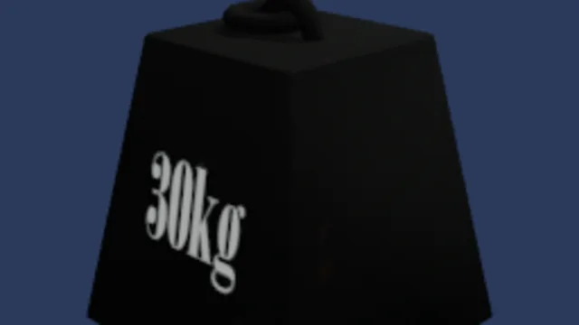 30kg mass
