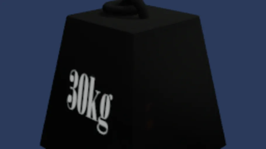 30kg mass