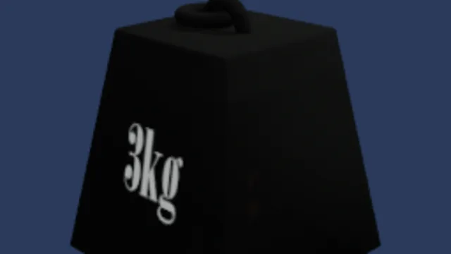 3kg mass