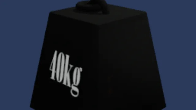 40kg mass