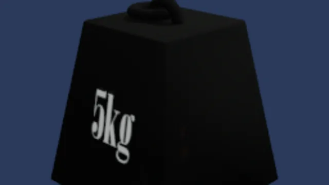 5kg mass