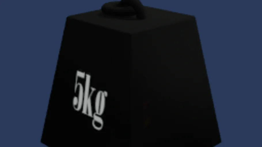 5kg mass