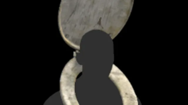 Toilet Seat