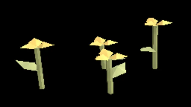 Arid Desert Poppy
