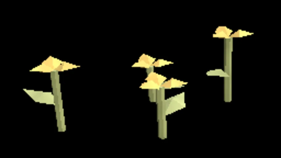 Arid Desert Poppy