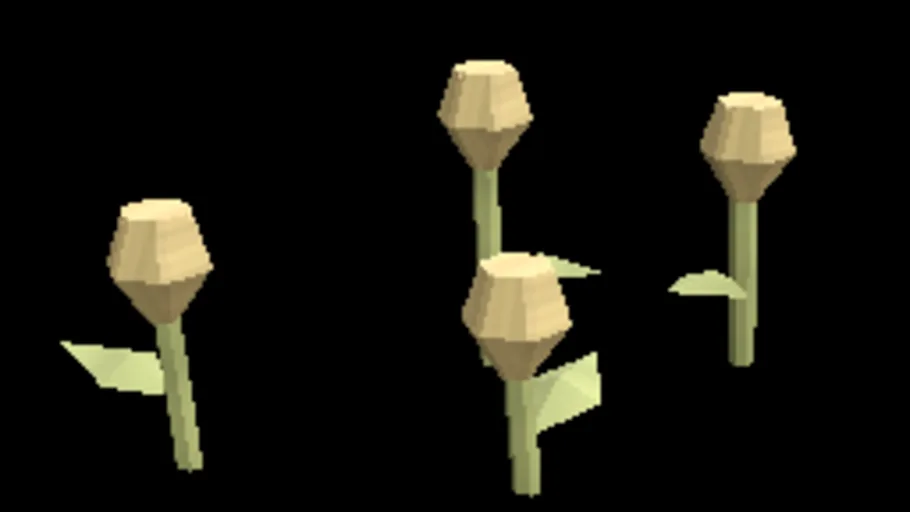 Arid Dry Seedheads