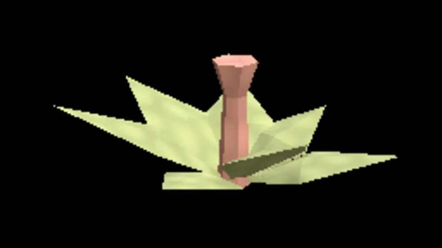 Arid Flowering Succulent