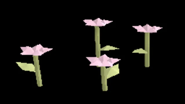Arid Sand Verbena
