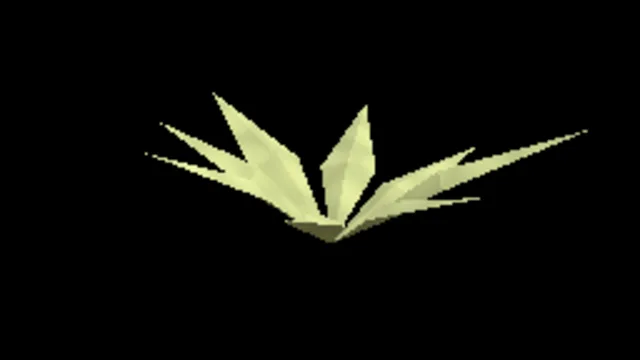 Arid Yucca