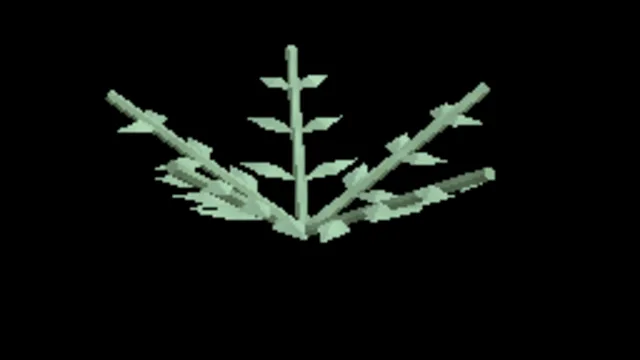 Boreal Alpine Fern