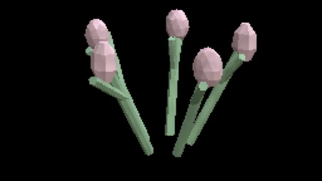 Boreal Arctic Heather