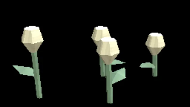 Boreal Cotton Grass