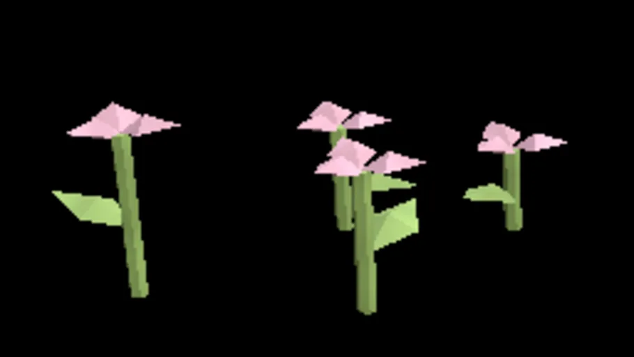 Temperate Clover