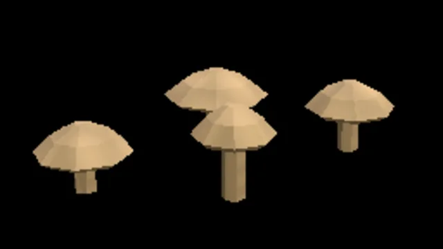Temperate Porcini
