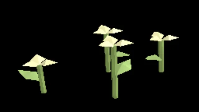 Temperate Wood Sorrel
