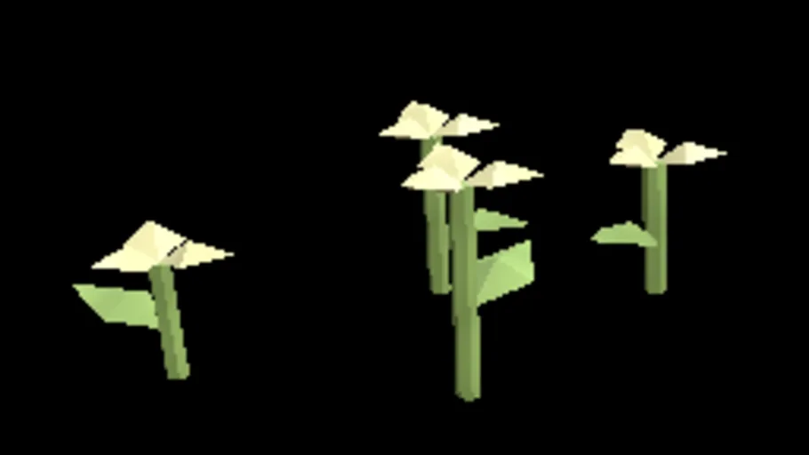 Temperate Wood Sorrel