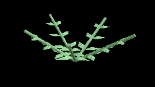 Tropical Giant Fern