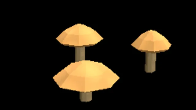Tropical Orange Fungus