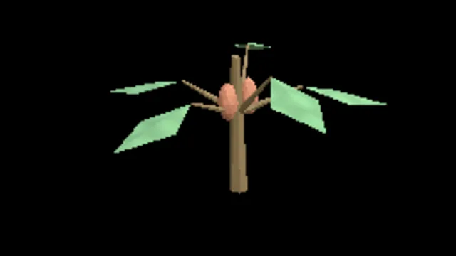 Tropical Papaya Sapling