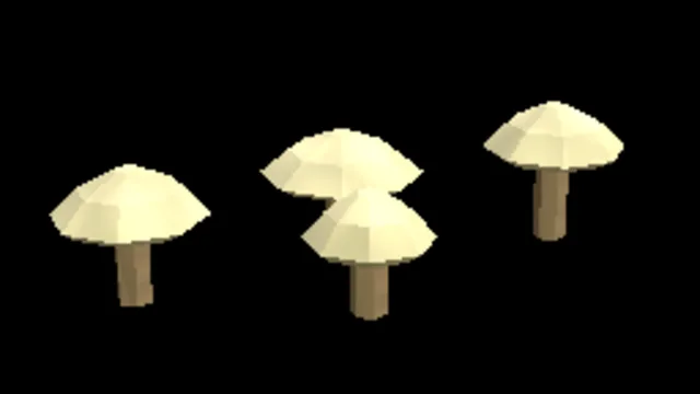 Tropical Parasol Fungus