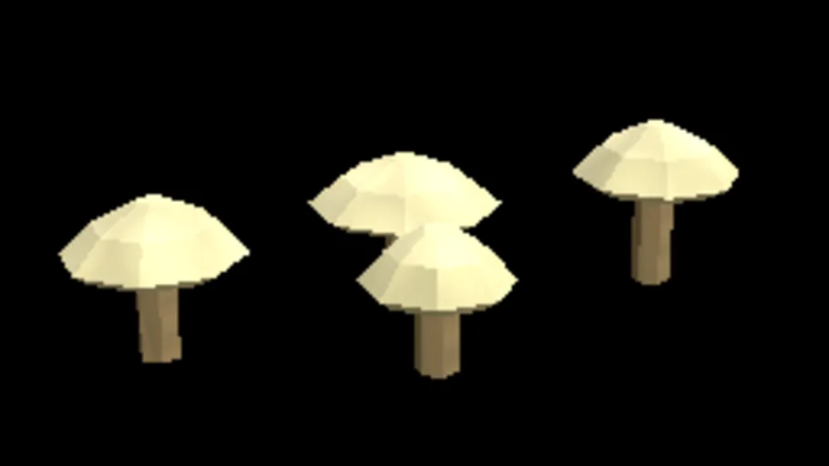 Tropical Parasol Fungus