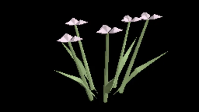 Wetland Blooming Rush
