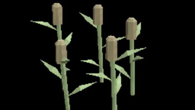Wetland Cattails