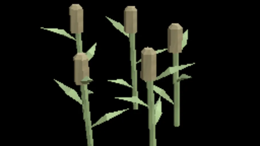 Wetland Cattails