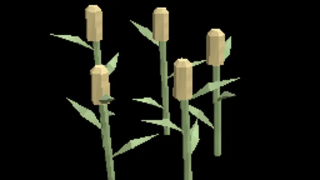 Wetland Reed Clump