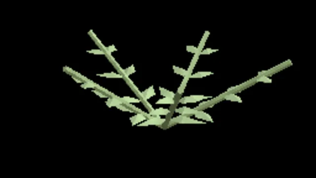 Wetland Royal Fern