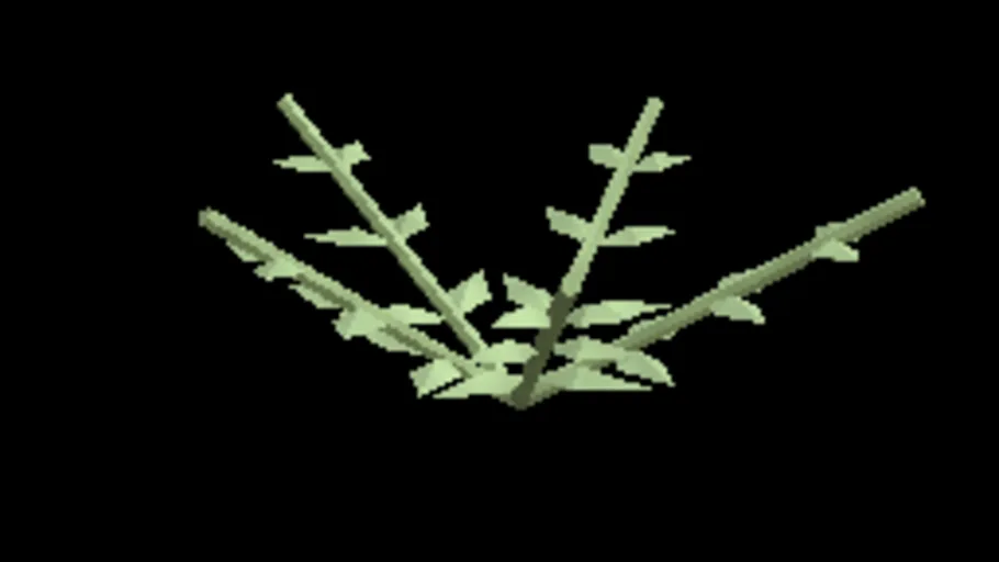 Wetland Royal Fern