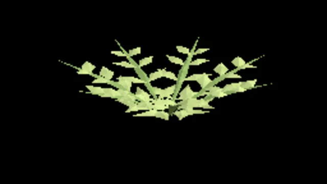 Fern