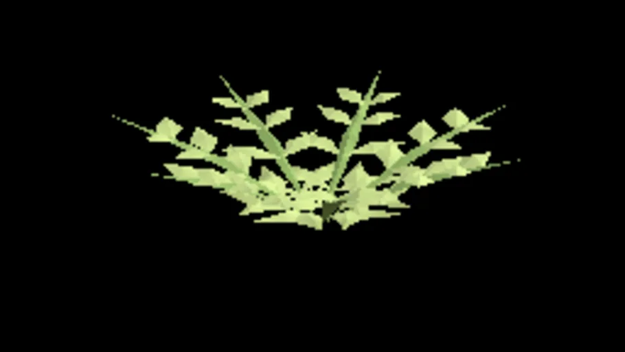 Fern