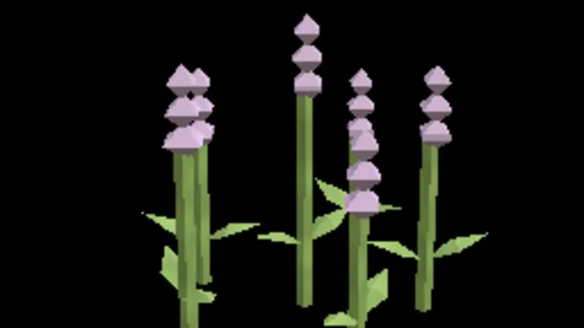 Lavender