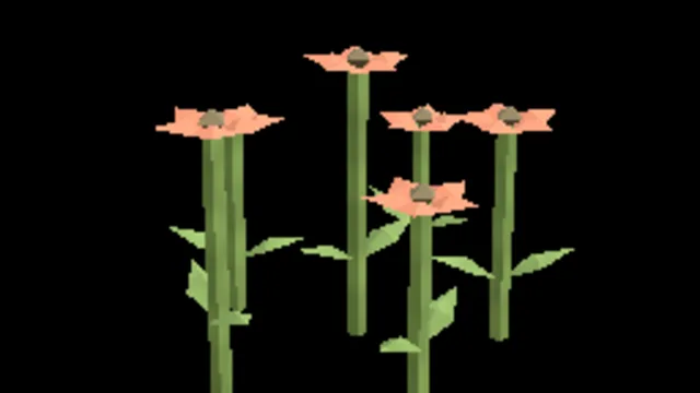 Poppies