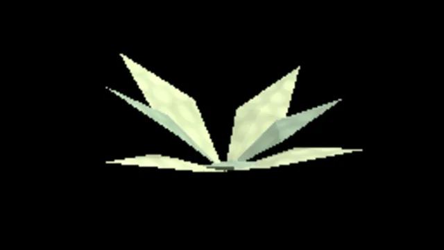 Shrub Agave