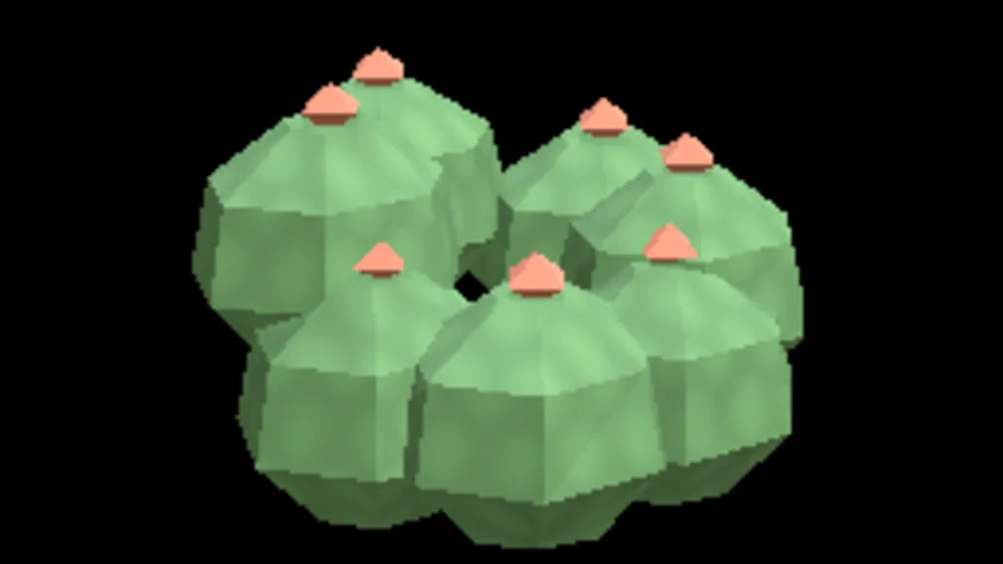 Shrub Hibiscus