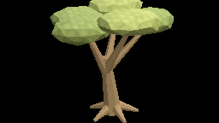 Tree Acacia