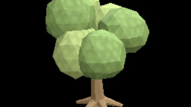 Tree Beech