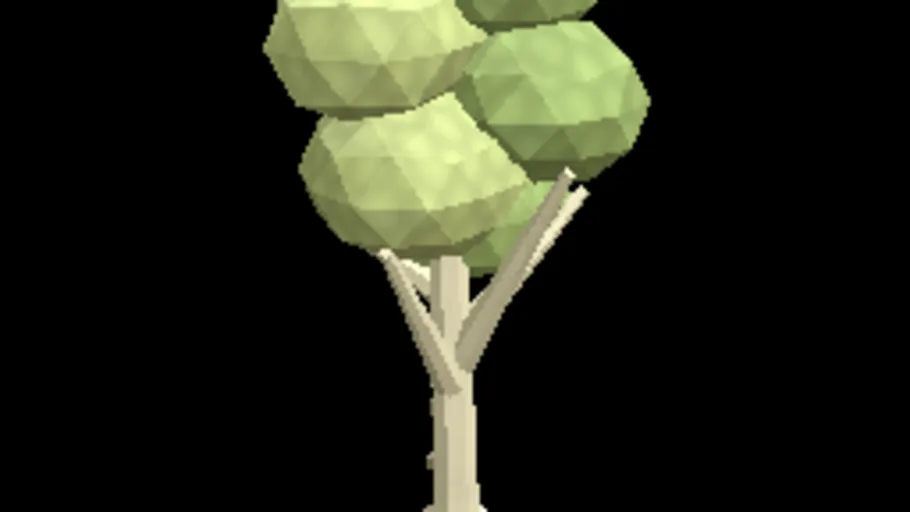 Tree Birch