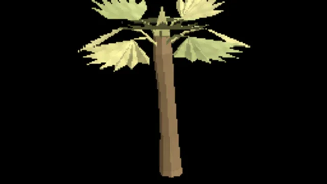 Tree Desert Fan Palm