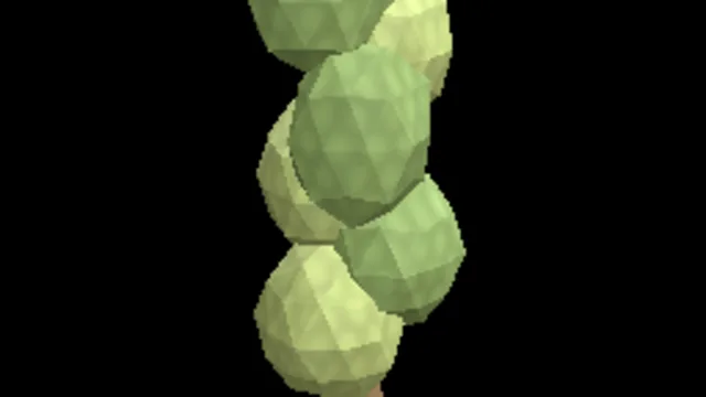 Tree Poplar