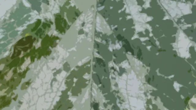 mrtrn_camogreen1
