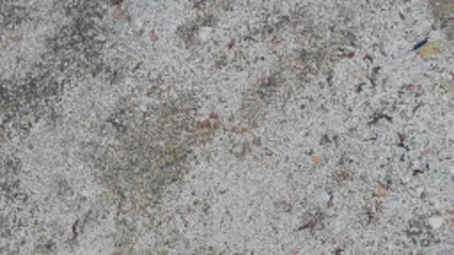 mrtrn_ground1